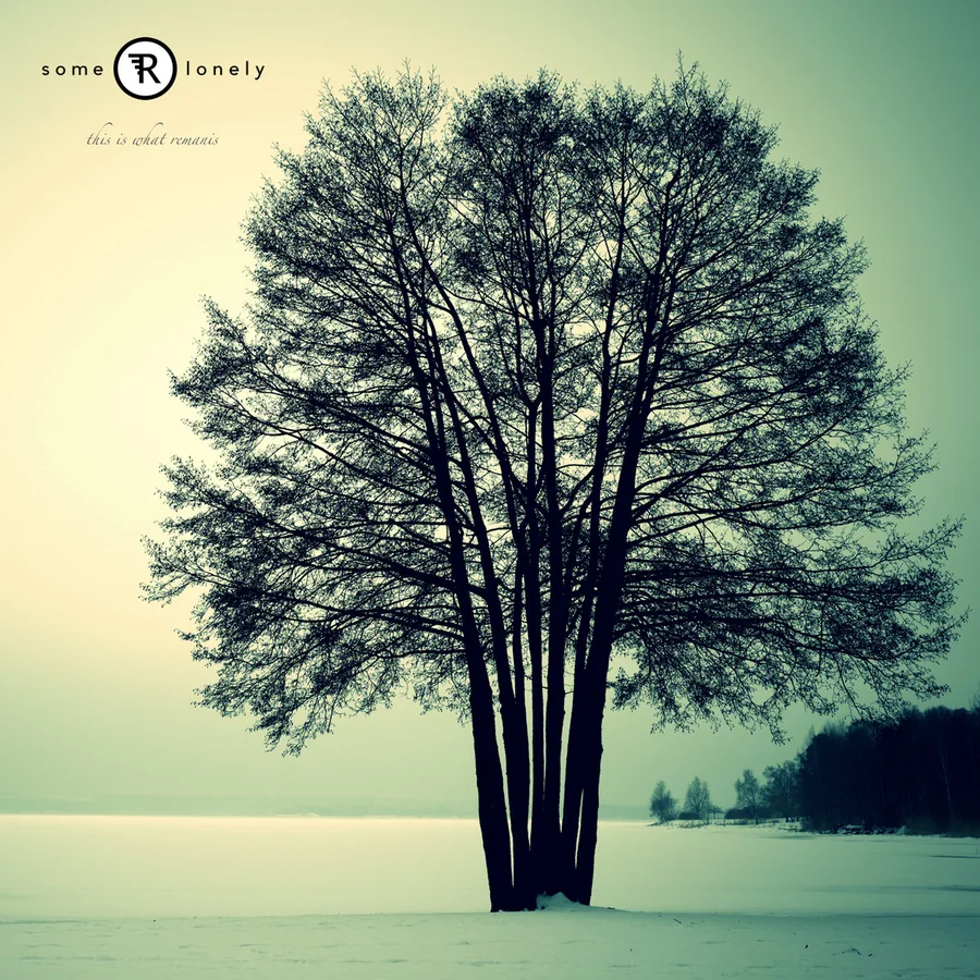 This Is What Remains, cover